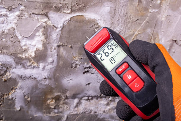 Mold Removal and Inspection in Coconut Creek, FL