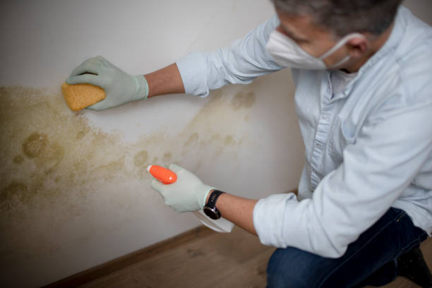 Water Damage Restoration in Coconut Creek, FL