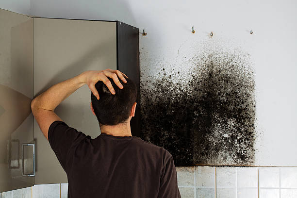 Best Crawl Space Mold Removal  in Coconut Creek, FL